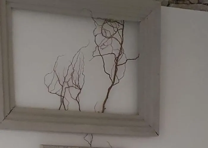 Reve De Campagne 2 *